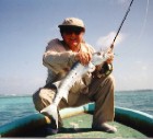 Barracuda from Ambergis Caye, Belize