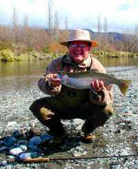 Rainbow trout, Taupo, New Zealand