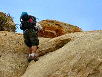 What were we thinking?