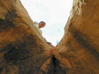 Cute, but pass the fucking water?