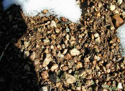 click here for a big picture